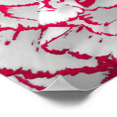 ポスター – 赤と白のカーネーション (角)