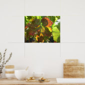 ポスター – 赤ブドウの葉オンつる植物 (キッチン)