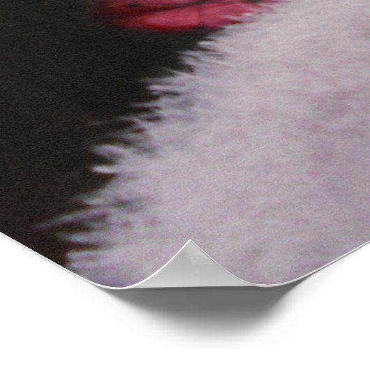 ポスター/陰謀の女性 ポスター (角)