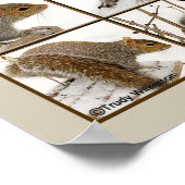 ポスター – 食べ物を得手に入れるにはどうしたらいい？ (角)