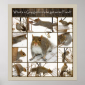 ポスター – 食べ物を得手に入れるにはどうしたらいい? (正面)