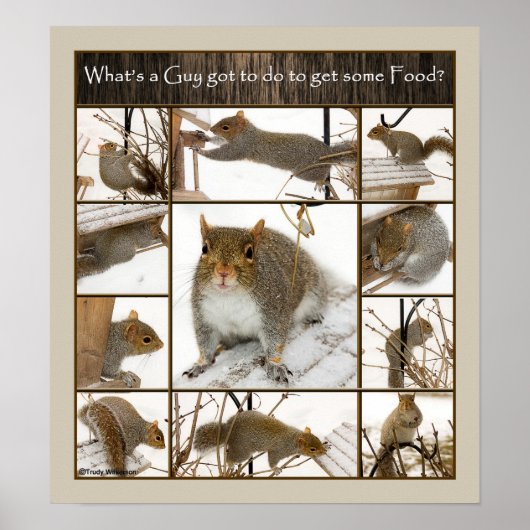 ポスター – 食べ物を得手に入れるにはどうしたらいい？ (正面)