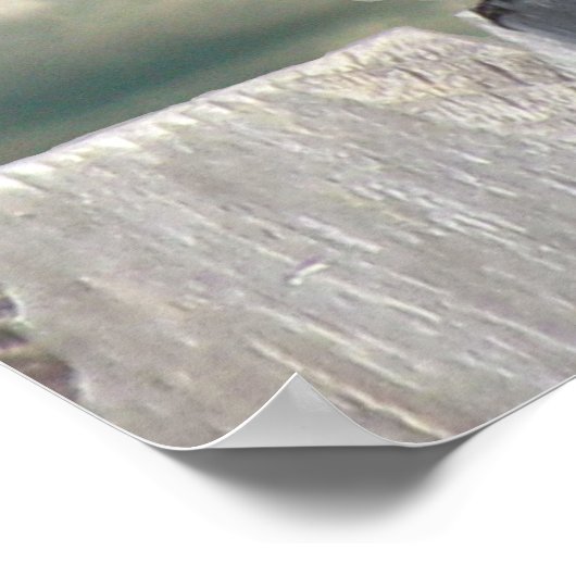 ポスター – 鳥と熱気球 (角)