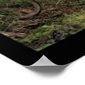 ポスター(18インチx 24インチ)ウブドバイクバリ ポスター (角)