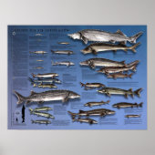 ポスター – 18X24 - SHOWCASE of STURGEONS (正面)
