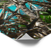 ポスター(24"x18")水空の木バヌアツ ポスター (角)