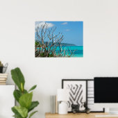 ポスター(24"x18")水空の木バヌアツ ポスター (ホームオフィス)