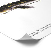 ポスター – 24x18 - STURGEON of EUROPE -(オリジナル) (角)