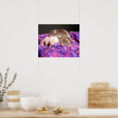 ポスター: 3ベビーネズミ ポスター (キッチン)