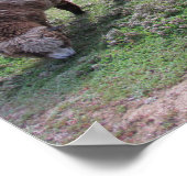 ポスター – 3頭の羊 (角)