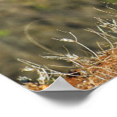 ポスター – 36x24チーズ (角)