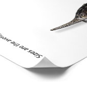 ポスター – 36x24 - STURGEON of EUROPE (角)