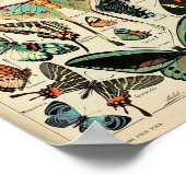 ポスター – Adolphe Millot Papillons Chairs (角)