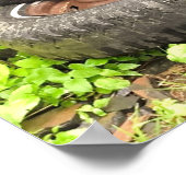 ポスター – Black Barn Cat (角)