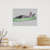 ポスター – Blue ロシアの Kitten (キッチン)