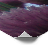 ポスター – Chives Image 1 (角)