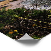 ポスター – Corona del Mar cove (角)