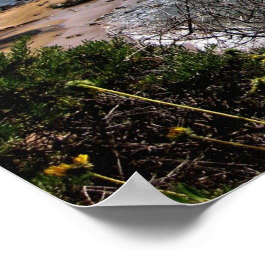 ポスター – Corona del Mar cove (角)