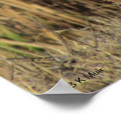 ポスター – Egret in Grass (角)