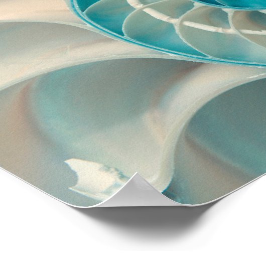 ポスター – Fibonacci Sequence in Fibonacci Sea Life (角)