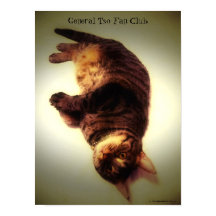 ポスター – General Tso Fan Club