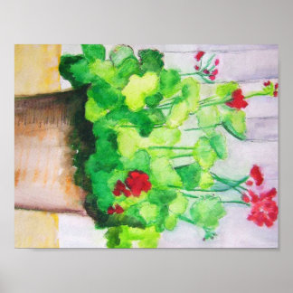 ポスター – Geraniums 威厳がある In