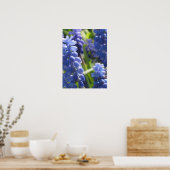 ポスター – Grape Hyacinth (キッチン)