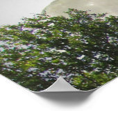 ポスター – Gymnasts Aim High (角)