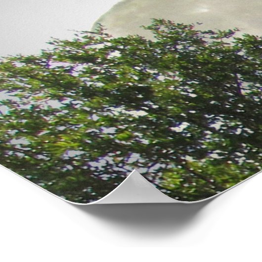 ポスター – Gymnasts Aim High (角)