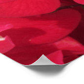 ポスター – Honey Bee onバラ (角)