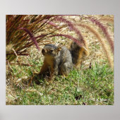 ポスター – Inquisitious Squirrel (正面)