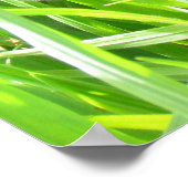 ポスター – Iron Sunflower in Grass (角)