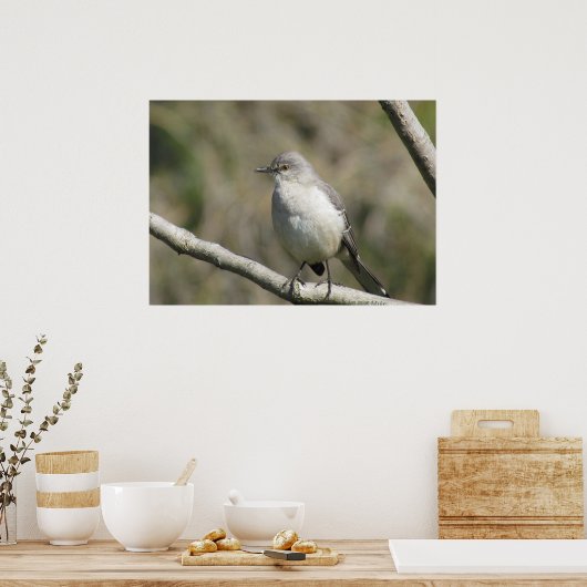 ポスター – Mockingbird (キッチン)