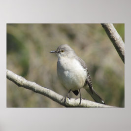 ポスター – Mockingbird