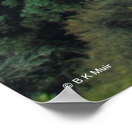 ポスター – Oakland Bay Bridge 2013 (角)