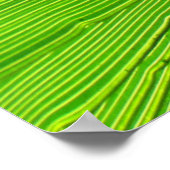 ポスター – Palm Fond in the Sun (角)