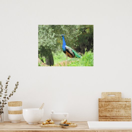 ポスター – Peacock (キッチン)