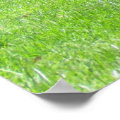 ポスター – Peacock Hunters (角)