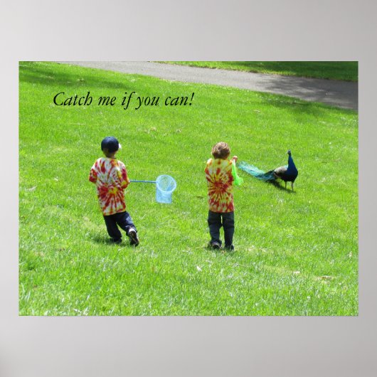 ポスター – Peacock Hunters (正面)