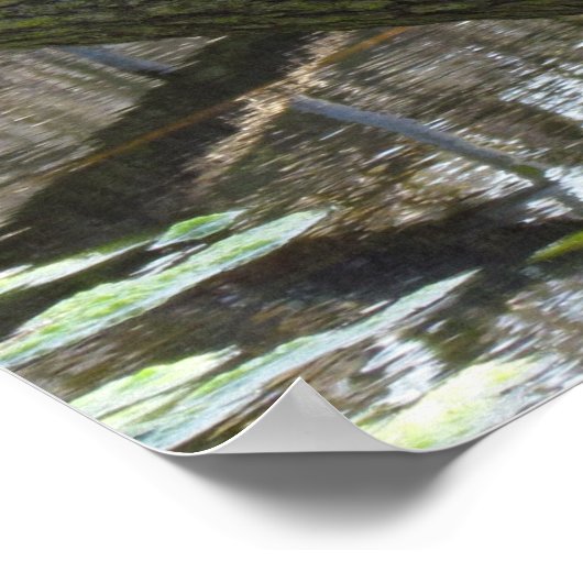 ポスター – Pond Turtles (角)