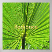 ポスター – Radiant Palm Fond (正面)