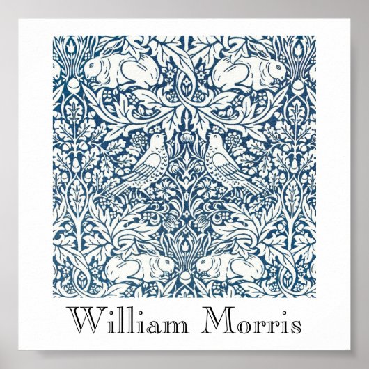 ポスター – Searching Acornsデザイン2 (正面)