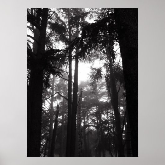 ポスター – Silver Silence (正面)