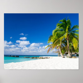 ポスター – Sous le soleil des tropiques