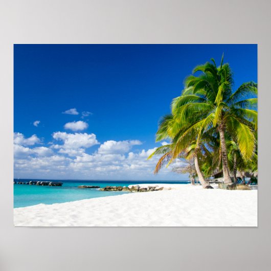 ポスター – Sous le soleil des tropiques (正面)