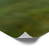 ポスター – Tern in flight (角)