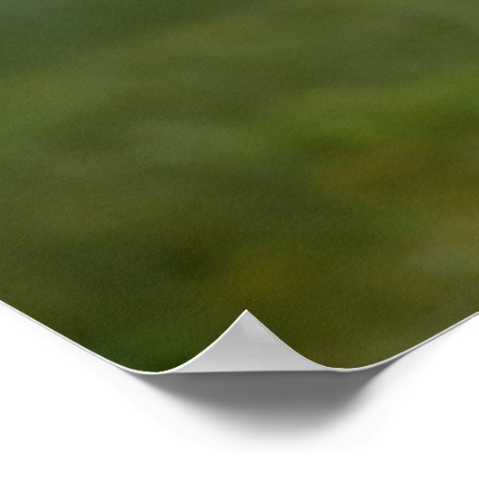 ポスター – Tern in flight (角)