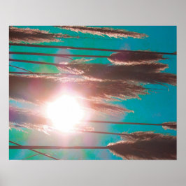 ポスター「TurquoiseMidday」 ポスター