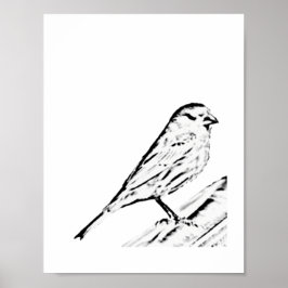 ポスター – Wren to Color