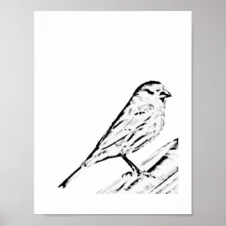 ポスター – Wren to Color